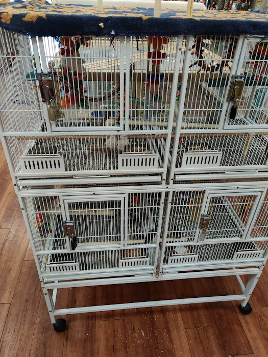 Pet Supermarket Picture 9