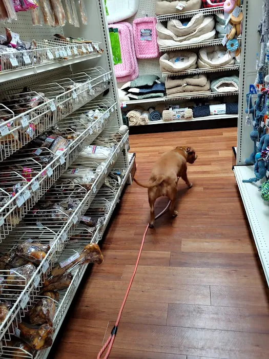 Pet Supermarket Picture 8
