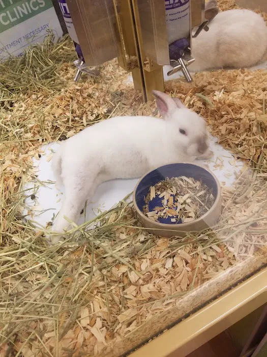 Pet Supermarket Picture 10