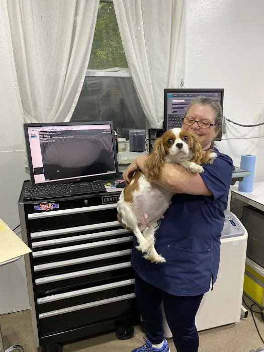 Davidsonville Veterinary Clinic Picture 4