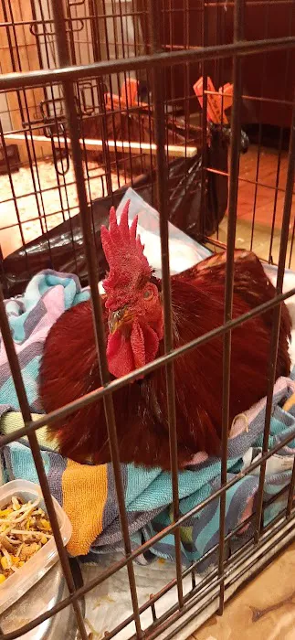 Davidsonville Veterinary Clinic Picture 6