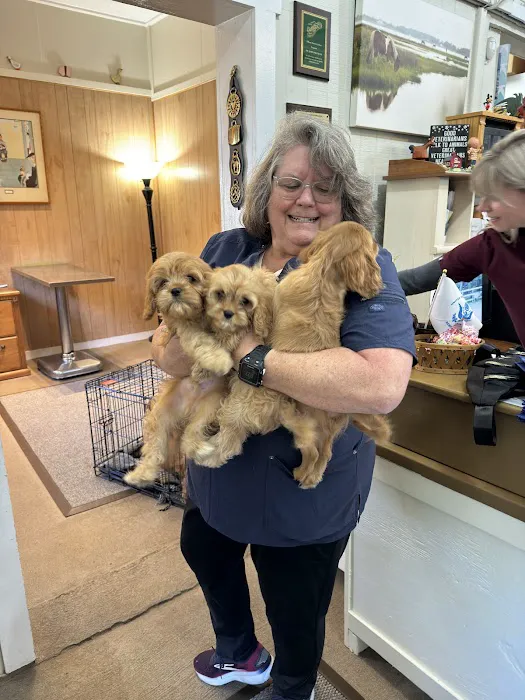 Davidsonville Veterinary Clinic Picture 8