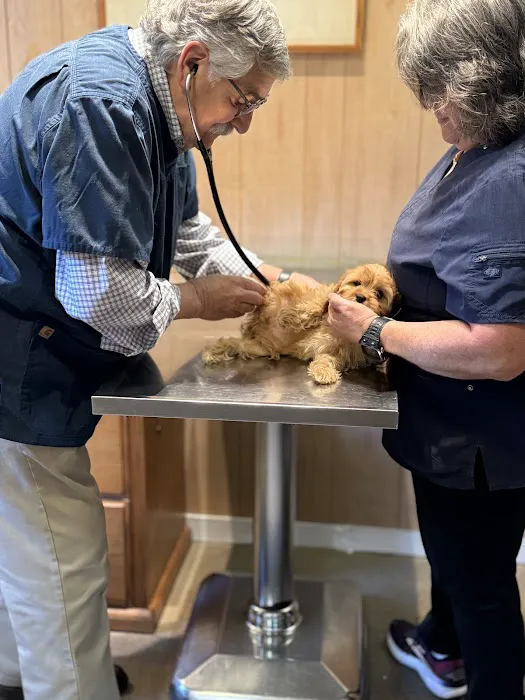 Davidsonville Veterinary Clinic Picture 7