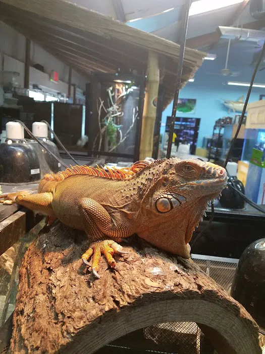 Alternative Pet Wearhouse Picture 6