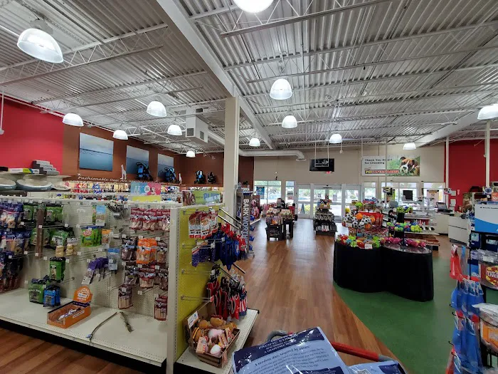 Pet Supermarket Picture 1