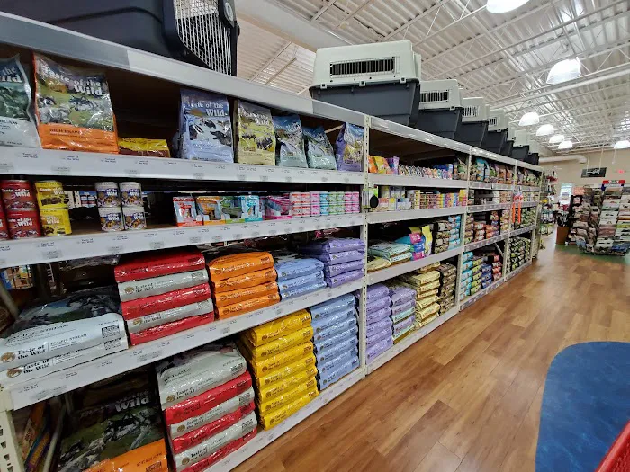 Pet Supermarket Picture 7