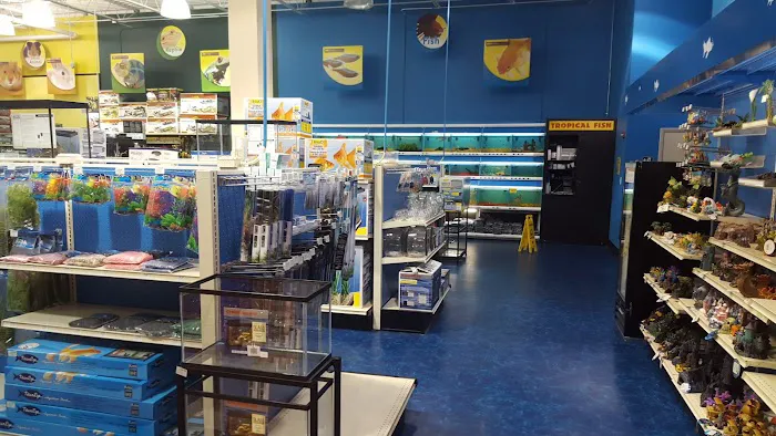 Pet Supermarket Picture 4