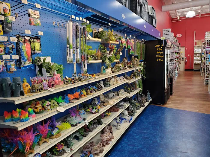 Pet Supermarket Picture 6