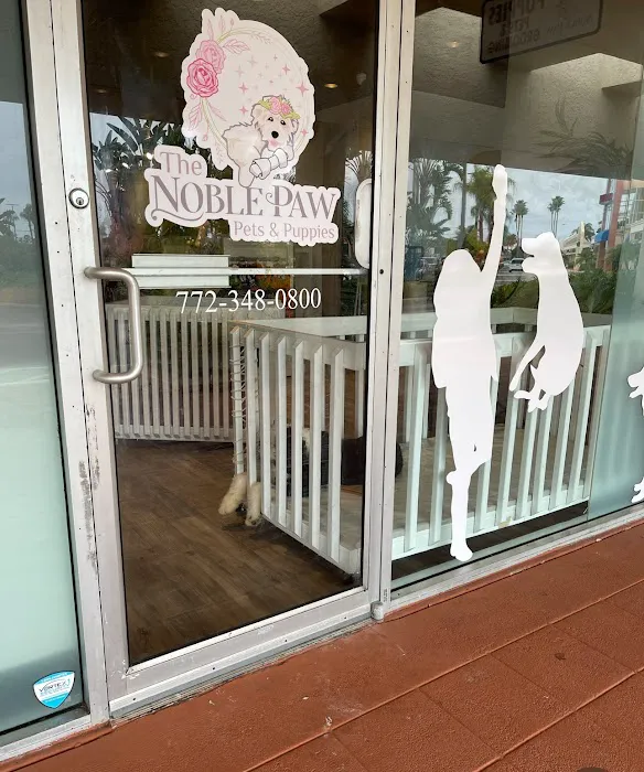 The Noble Paw Picture 3