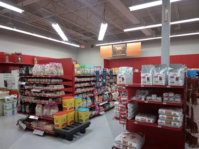 Petco Picture 2