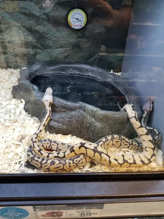 Petco Picture 3