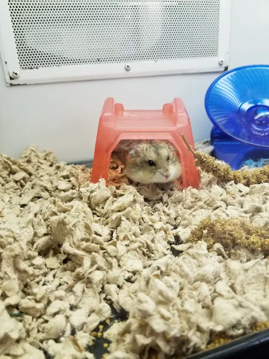 Petco Picture 9