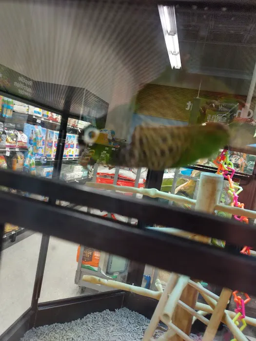 Petco Picture 10