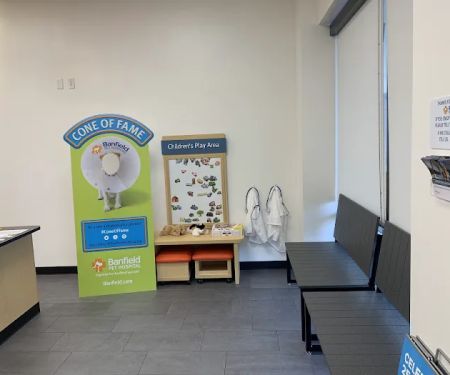 Banfield Pet Hospital