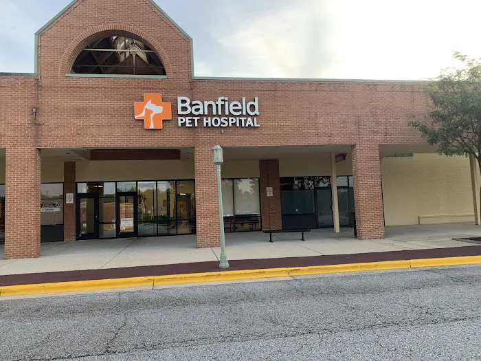 Banfield Pet Hospital Picture 5