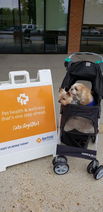 Banfield Pet Hospital Picture 8