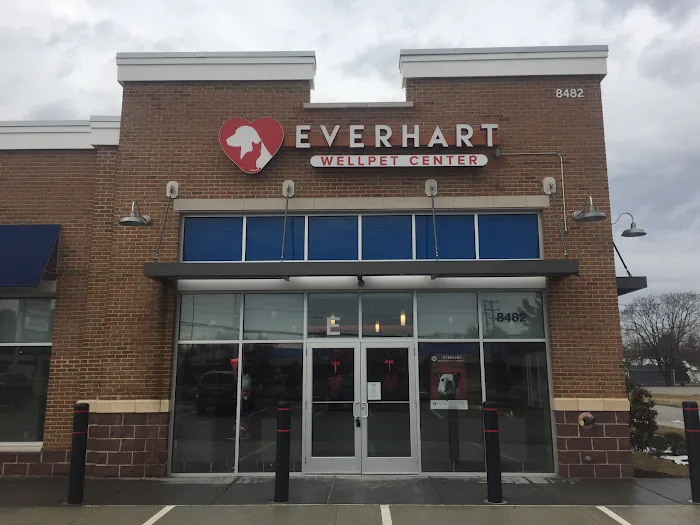 Everhart WellPet Picture 3