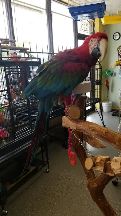 Birds On Safari Picture 4