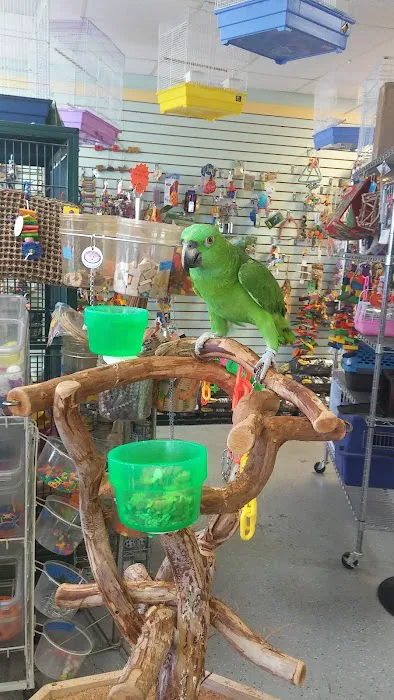 Birds On Safari Picture 5