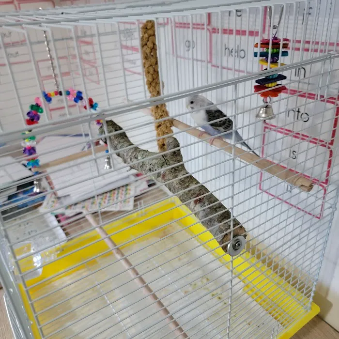 Birds On Safari Picture 10