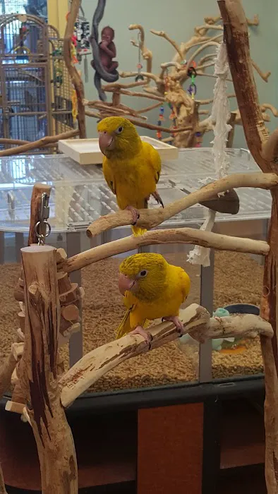 Birds On Safari Picture 8