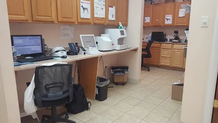Croydon Pet Hospital Picture 1