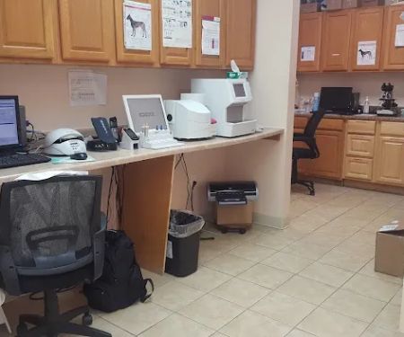 Croydon Pet Hospital
