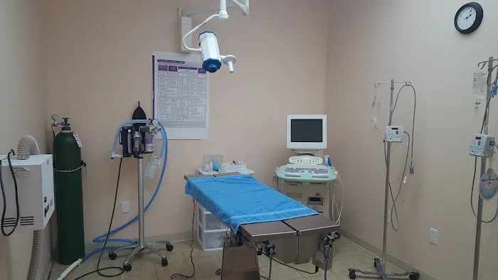 Croydon Pet Hospital Picture 9