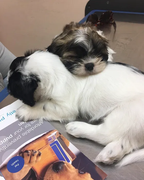 Croydon Pet Hospital Picture 10