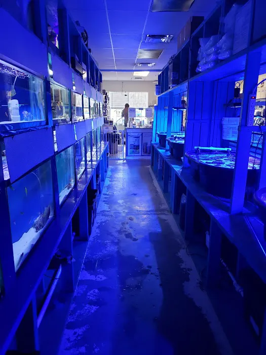 Fintastic Aquariums Jensen Picture 1