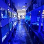 Fintastic Aquariums Jensen