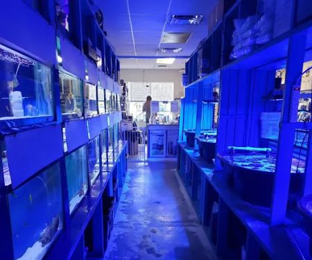 Fintastic Aquariums Jensen