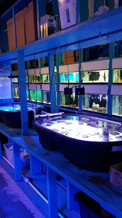 Fintastic Aquariums Jensen Picture 5