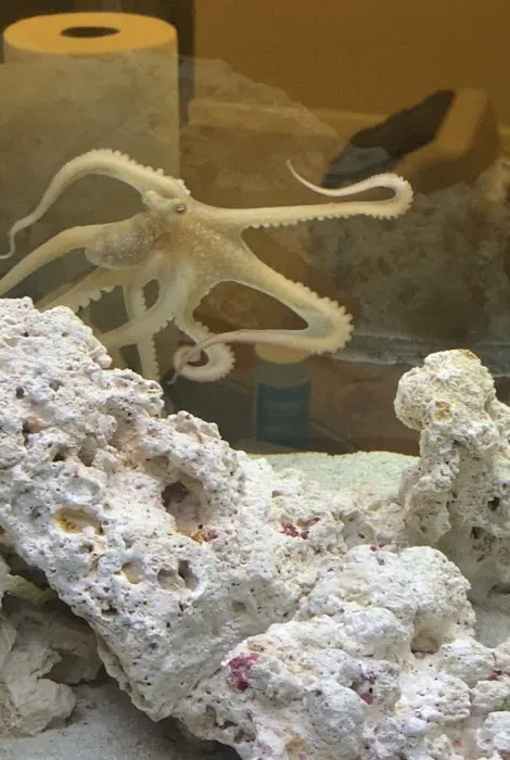 Fintastic Aquariums Jensen Picture 2