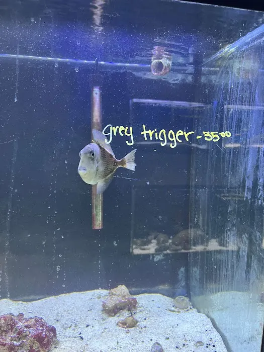 Fintastic Aquariums Jensen Picture 4