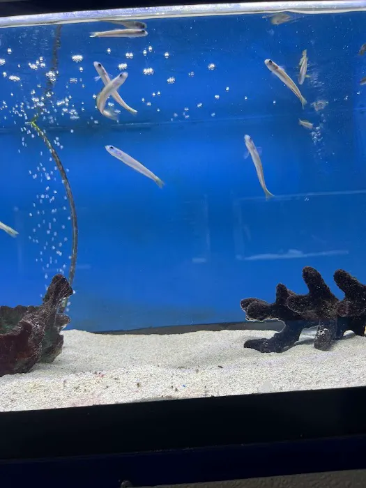 Fintastic Aquariums Jensen Picture 7