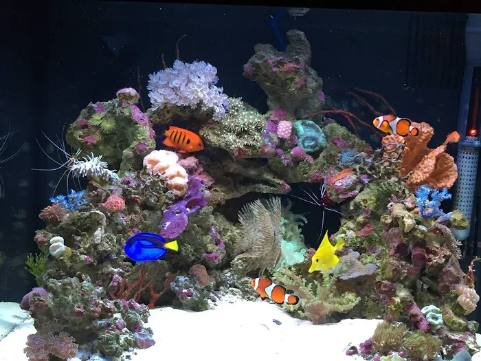 Fintastic Aquariums Jensen Picture 8