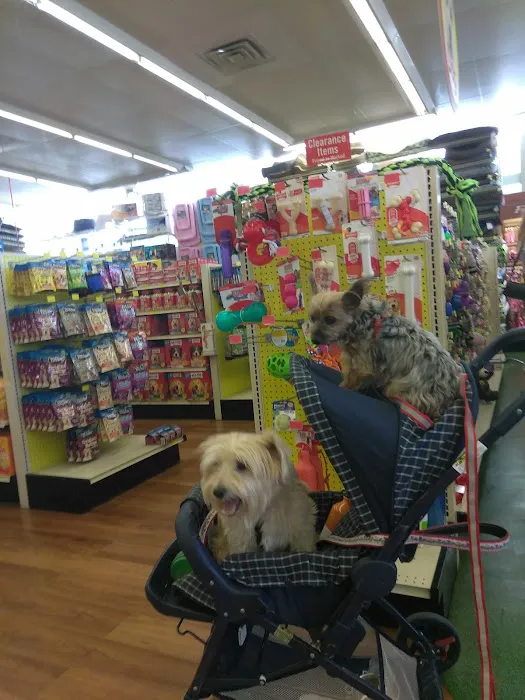 Pet Supermarket Picture 1