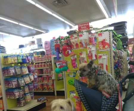 Pet Supermarket