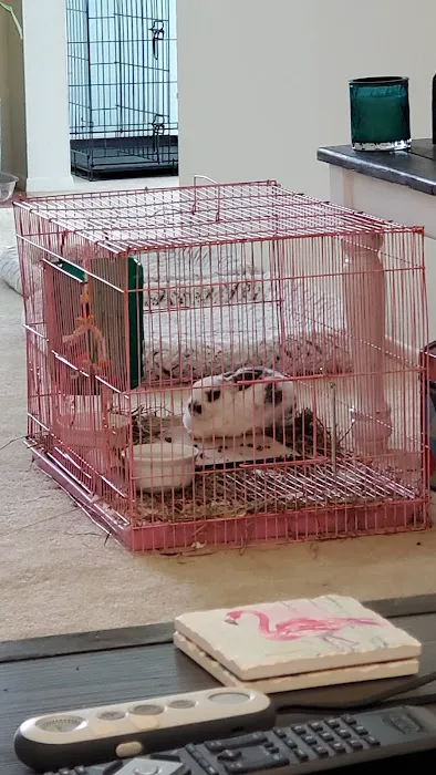 Pet Supermarket Picture 3