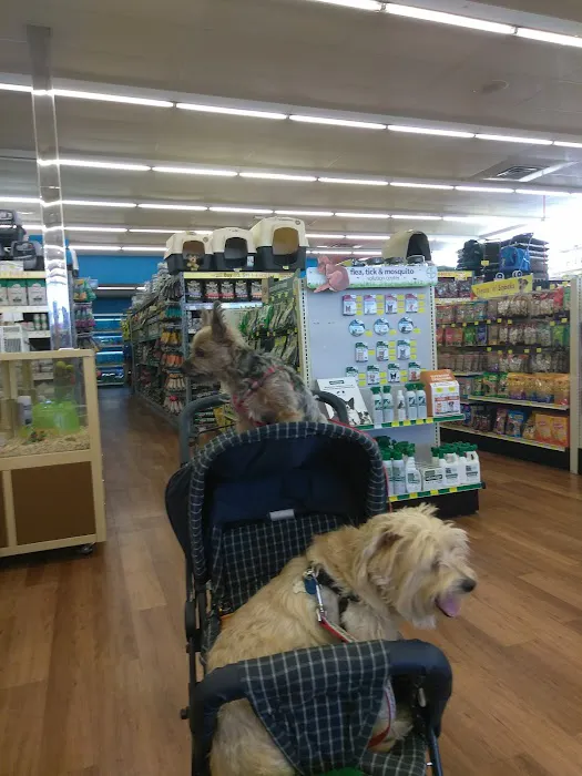 Pet Supermarket Picture 6