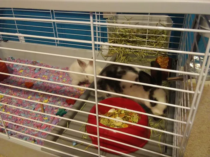 Pet Supermarket Picture 8