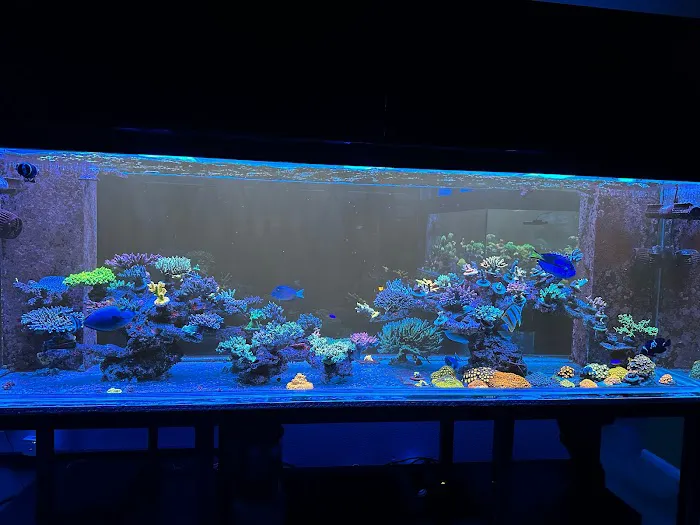Poo Tang Reefs Picture 2
