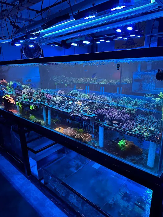 Poo Tang Reefs Picture 9