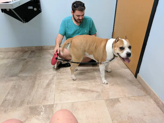 Rehoboth Beach Animal Hospital Picture 9
