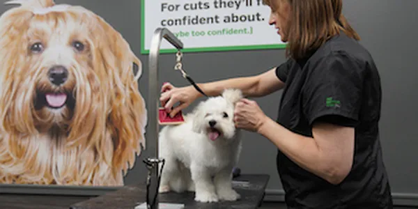 Pet Supplies Plus Port St. Lucie Picture 6