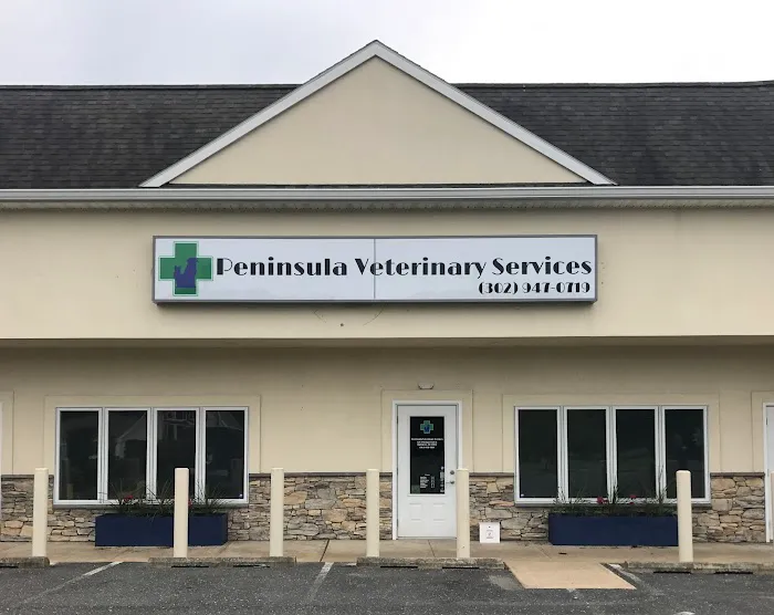 Peninsula Veterinary Services Picture 2