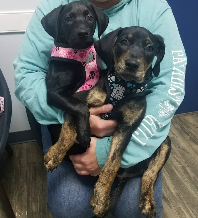Peninsula Veterinary Services Picture 8