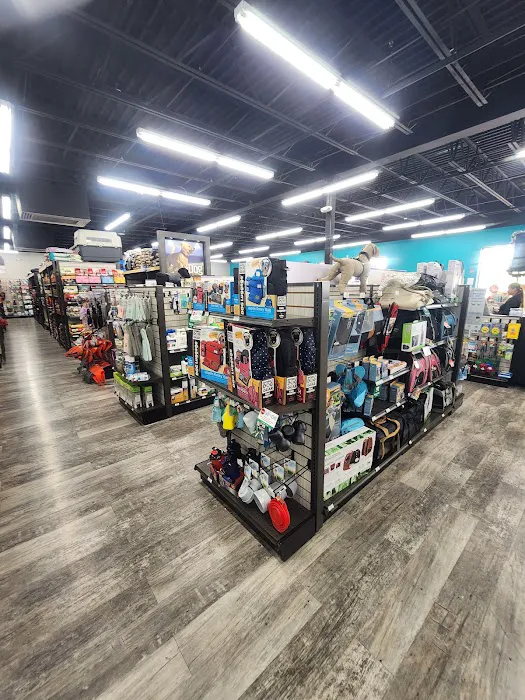 Pet Supermarket Picture 3