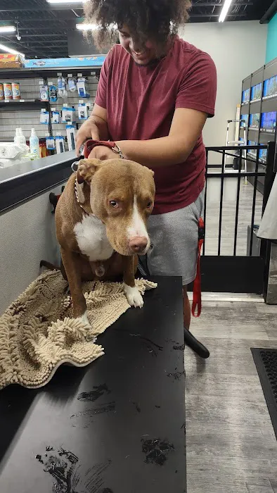 Pet Supermarket Picture 1
